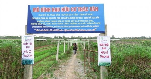Tiêu chuẩn rau hữu cơ Việt Nam