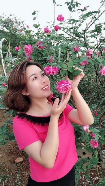 Đẹp hút hồn vườn hồng tiền tỷ tại Sơn La