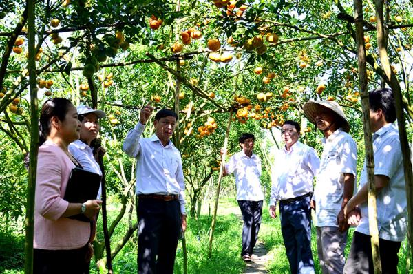 Phát triển du lịch nông nghiệp Đồng Tháp