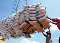 Kiến nghị bỏ quota xuất khẩu gạo của các doanh nghiệp
