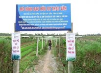 Tiêu chuẩn rau hữu cơ Việt Nam
