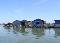 Thiết kế lồng bè nuôi cá diêu hồng
