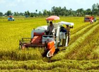 Đẩy mạnh cơ giới hóa trong sản xuất nông nghiệp