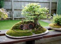 Kỹ thuật cơ bản nhất để trồng bonsai mini đẹp