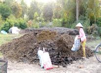 Cách ủ phân chuồng cho hoai mục bón cây