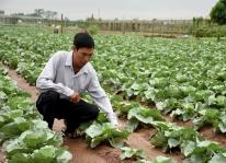 Chính sách hỗ trợ nông dân phát triển kinh doanh, giảm nghèo bền vững