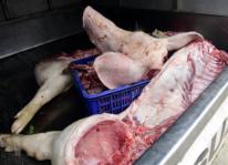 Phát hiện hơn 900kg thịt lợn bốc mùi đang trên đường đi tiêu thụ