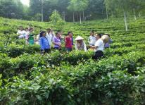 Nâng cao nhận thức về kinh tế hợp tác cho hội viên, nông dân