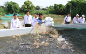 Kỹ thuật nuôi trồng thủy sản nước ngọt 2023