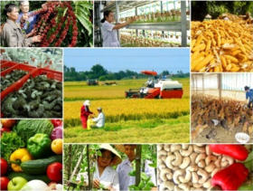 Bức tranh nông nghiệp Việt Nam 6 tháng đầu năm 2023: Nhiều gam màu sáng