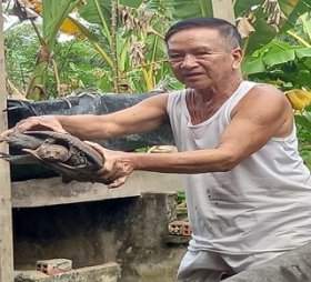 Nuôi một thứ con đặc sản to bự tên là cua thêm chữ đinh, ai ngờ ông nông dân Trà Vinh trúng lớn