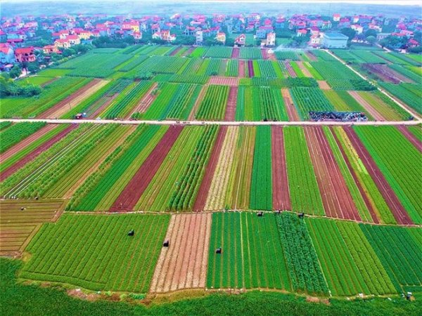 Tiêu chuẩn đất nông nghiệp tại Việt Nam