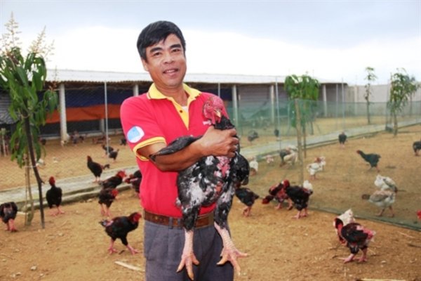Nông dân làm giàu từ nông nghiệp - Nguyễn Đức Minh