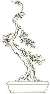 thế hạc lập