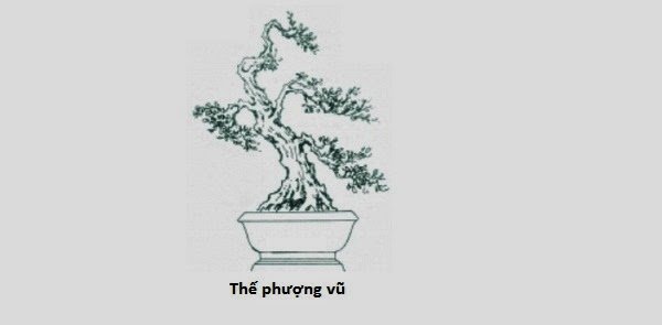 thế phượng vũ
