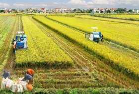 Ưu đãi thuế cho DN đầu tư vào nông nghiệp, thủy sản