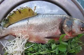Lợi ích chữa bệnh của cá mè