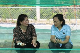 Nuôi ếch kết hợp cá rô phi, lợi nhuận nhân đôi