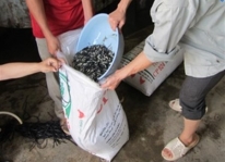 Kinh nghiệm vận chuyển cá giống giảm thiểu tối đa tỷ lệ chết