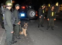 Những chú chó tinh nhuệ của lực lượng cảnh sát