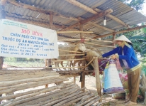 Phát triển mô hình &quot;Chăn nuôi cừu sinh sản&quot;